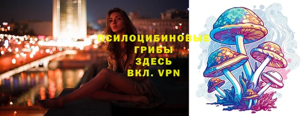mix Армянск