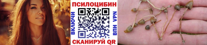 магазин продажи   Октябрьск  Галлюциногенные грибы GOLDEN TEACHER 